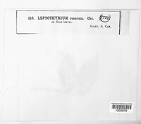 Image Associated With the Occurence